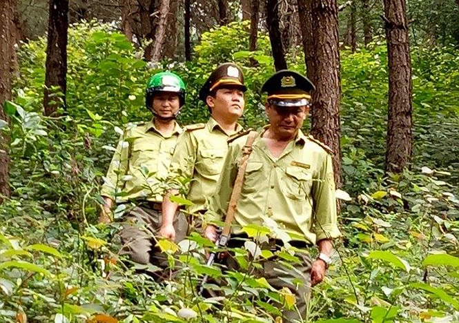  Lực lượng chức năng huyện Quảng Ninh thường xuyên tuần tra kiểm soát bảo vệ rừng.
