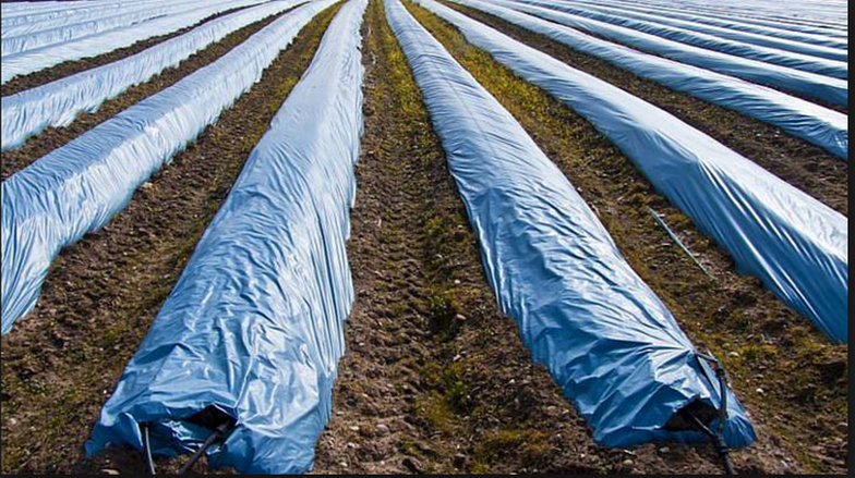   Gia tăng sử dụng PVC trong nông nghiệp và xây dựng cũng làm suy giảm tầng ozone - Ảnh: BBC