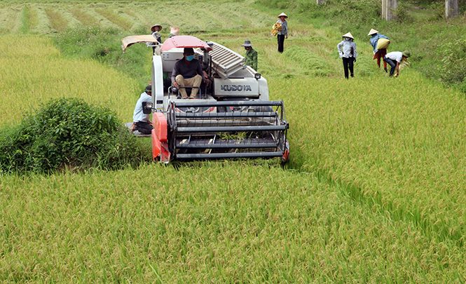 Ngành nông nghiệp huyện Tuyên Hóa đẩy mạnh cơ giới hóa trong sản xuất.