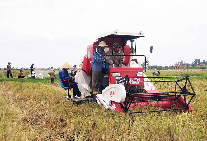  Việc sử dụng các giống lúa mới, chất lượng góp phần nâng cao năng suất, sản lượng lúa trên địa bàn tỉnh.
