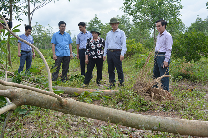Đồng chí Phó Chủ tịch Thường trực HĐND tỉnh Nguyễn Thị Thanh Hương và lãnh đạo Khối Doanh nghiệp tỉnh thăm, động viên một số đơn vị bị ảnh hưởng nặng do bão số 10 gây ra.