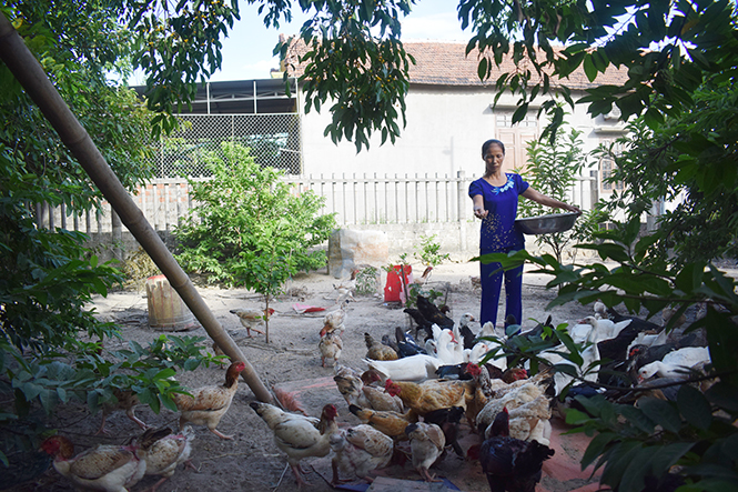 Chị Nguyễn Thị Liên, thôn Đức Sơn, xã Đức Ninh, tích cực tham gia chương trình tiền gửi tiết kiệm của hộ nghèo.