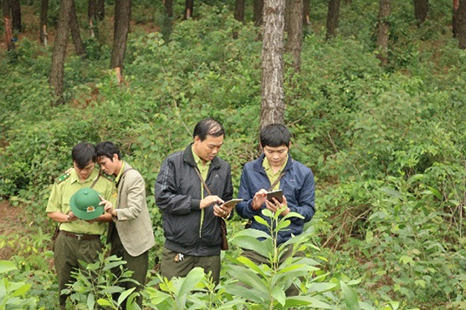 Cán bộ kiểm lâm địa bàn thực hành sử dụng máy tính bảng trong theo dõi diễn biến rừng và đất lâm nghiệp.