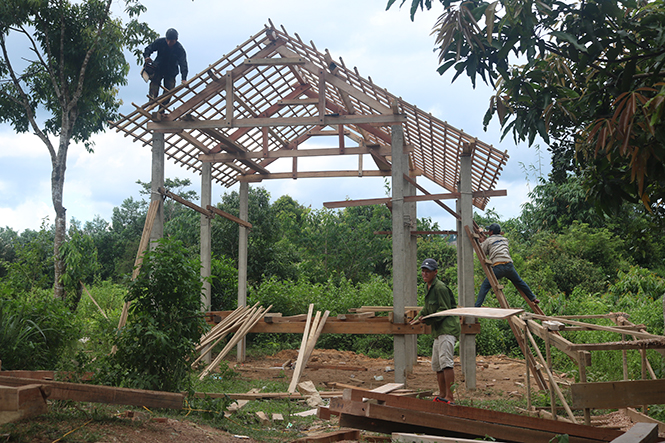  Năm 2017, có 46 hộ đồng bào Mã Liềng ở huyện Tuyên Hóa được hỗ trợ  làm nhà ở kiên cố.