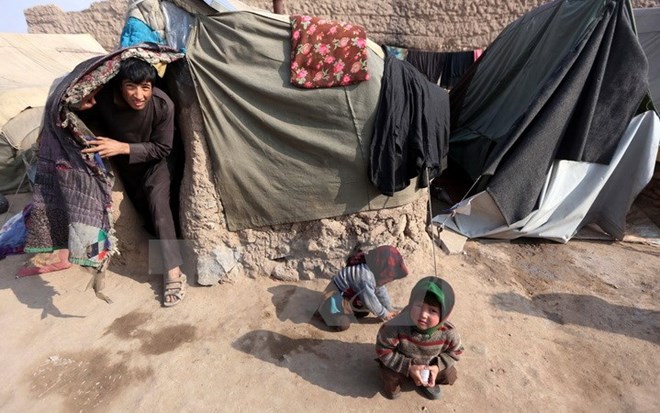 Người dân Afghanistan mất nhà cửa trong các cuộc xung đột sống trong những khu lều tạm ở tỉnh Herat ngày 19-1.(Nguồn: EPA/TTXVN)