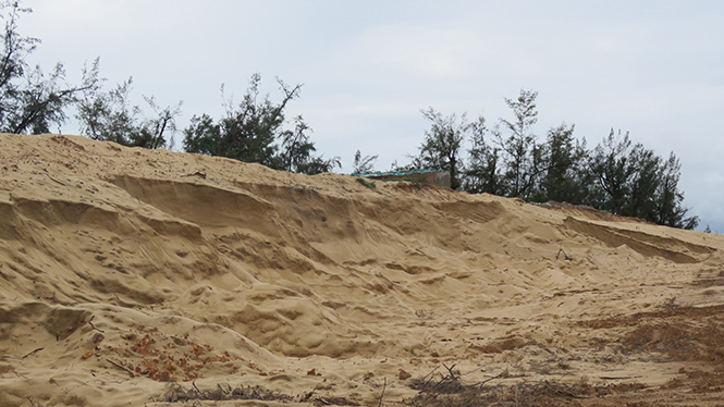 Tình trạng khai thác cát làm vật liệu xây dựng thông thường trái phép xảy ra tại nhiều xã, phường ở thị xã Ba Đồn đến nay cơ bản đã được ngăn chặn.