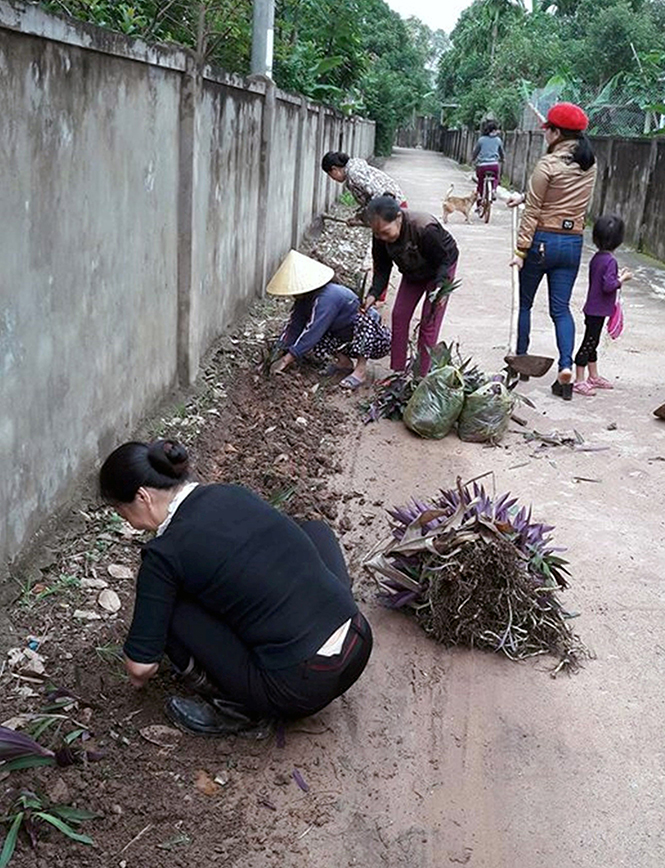 Chi hội phụ nữ Thuận Phong tham gia trồng hoa, cây xanh trên các tuyến đường.