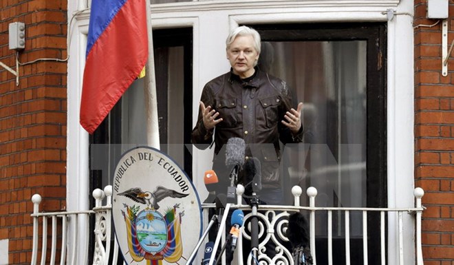 Nhà sáng lập trang mạng WikiLeaks Julian Assange tại Đại sứ quán Ecuador ở London (Anh) ngày 19-5-2017. (Nguồn: AP/TTXVN)
