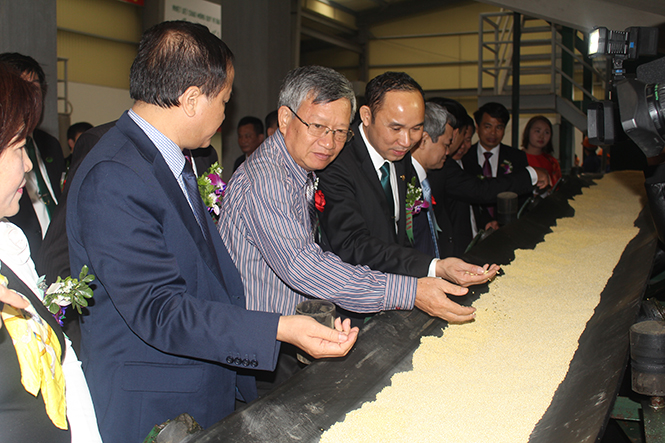 Các đồng chí lãnh đạo tỉnh tham quan dây chuyền sản xuất của Công ty cổ phần Công ty Sông Gianh.