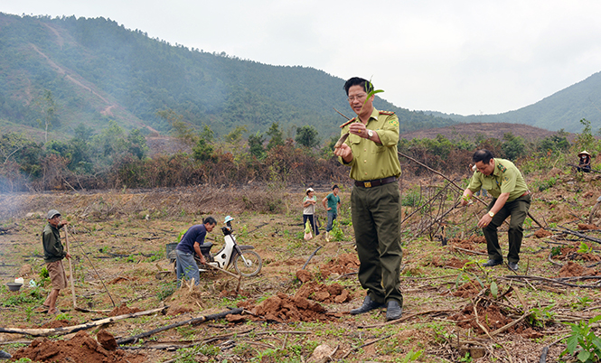 Cán bộ Kiểm lâm đang hướng dẫn kỹ thuật xuống giống trồng rừng cho người dân.