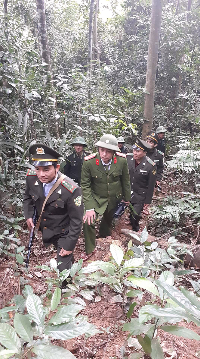 Các lực lượng chức năng phối hợp triển khai thực hiện hiệu quả công tác bảo vệ rừng trên địa bàn toàn tỉnh.