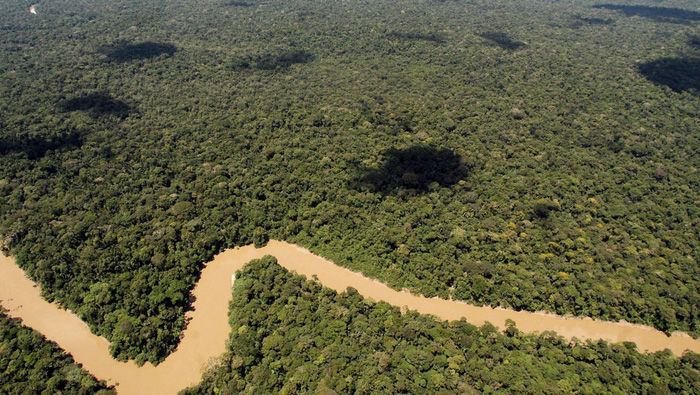 Rừng Amazon - Ảnh: EPA