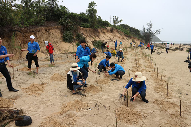 Tuổi trẻ Quảng Trạch trồng hơn 5.000 cây xanh quanh khu mộ Đại tướng Võ Nguyên Giáp trong Tháng Thanh niên 2018)