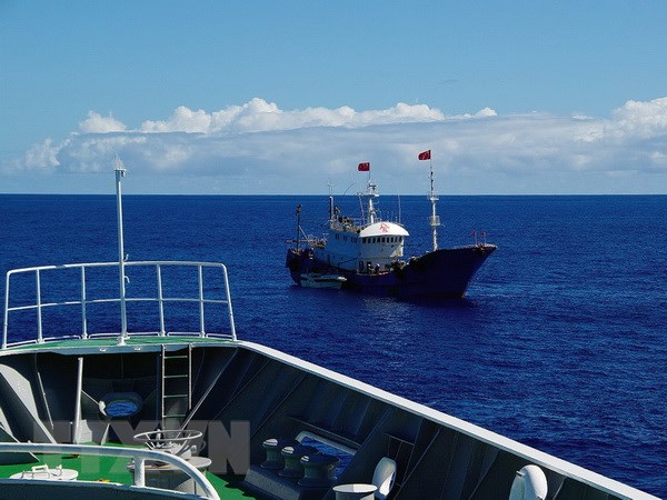 Tàu cá Trung Quốc tại vùng biển ở khu vực đảo Ogasawara thuộc vùng đặc quyền kinh tế của Nhật Bản ngày 27-10-2014. (Nguồn: AFP/TTXVN)
