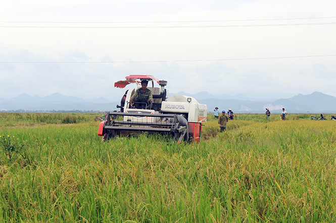 Cơ giới hóa nông nghiệp là một trong những thành quả của nông thôn mới ở nhiều địa phương.