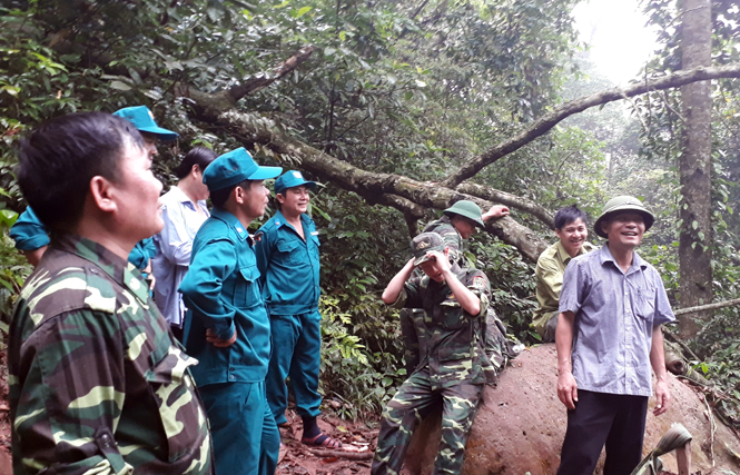 Lực lượng chức năng huyện Minh Hóa kiểm tra công tác bảo vệ và phòng cháy chữa cháy rừng ở rừng phòng hộ Minh Hóa.
