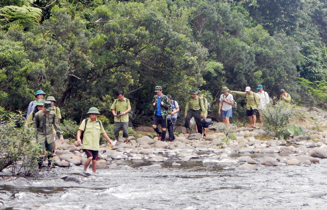Lực lượng Kiểm lâm Quảng Bình tuần tra bảo vệ rừng.