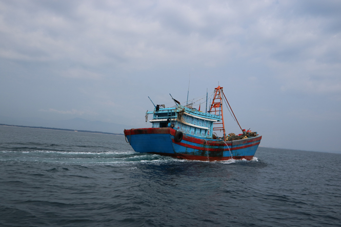 Tiếp tục hỗ trợ gần 66 tỷ đồng cho chủ tàu cá tham gia khai thác hải sản trên vùng biển xa