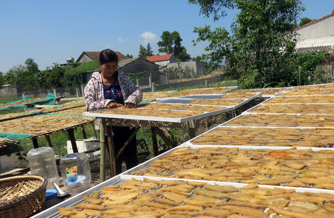 Cơ sở sản xuất khoai deo Lâm Hường ở thôn 1 Thanh Tân mỗi năm tiêu thụ hàng trăm tấn khoai nguyên liệu, giải quyết việc làm cho nhiều lao động.