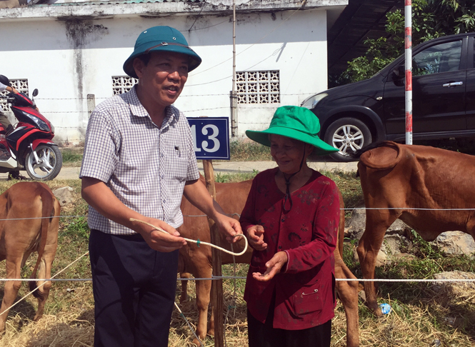 UBND huyện Tuyên Hóa phối hợp UBMTTQVN tỉnh tổ chức trao bò giống cho người nghèo vùng thiên tai.