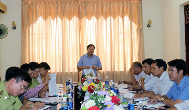 Đồng chí Lê Minh Ngân, Phó Chủ tịch UBND tỉnh phát biểu chỉ đạo tại buổi làm việc.