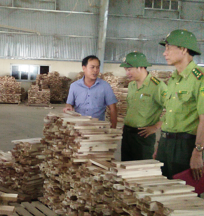 Trên địa bàn thành phố Đồng Hới hiện có 8 cơ sở chế biến gỗ sử dụng nguồn nguyên liệu từ gỗ rừng trồng.