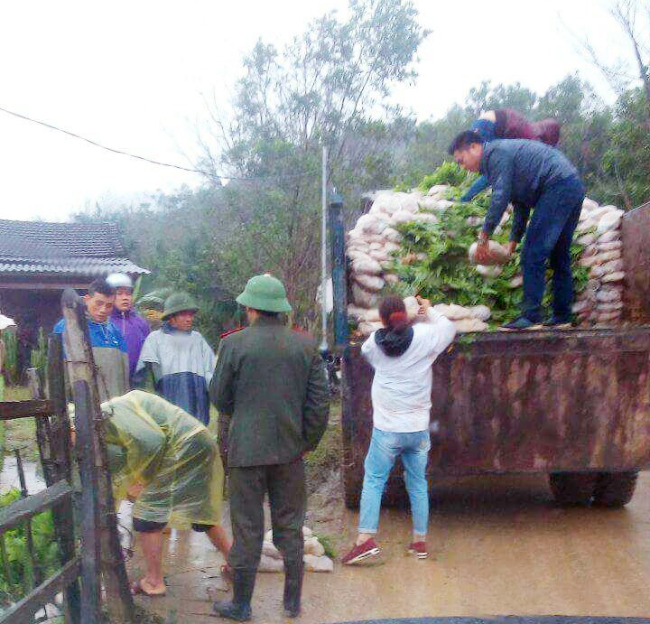 Trạm Kiểm lâm Hóa Sơn thực hiện tốt công tác quản lý lưu thông giống cây trồng lâm nghiệp trên địa bàn.