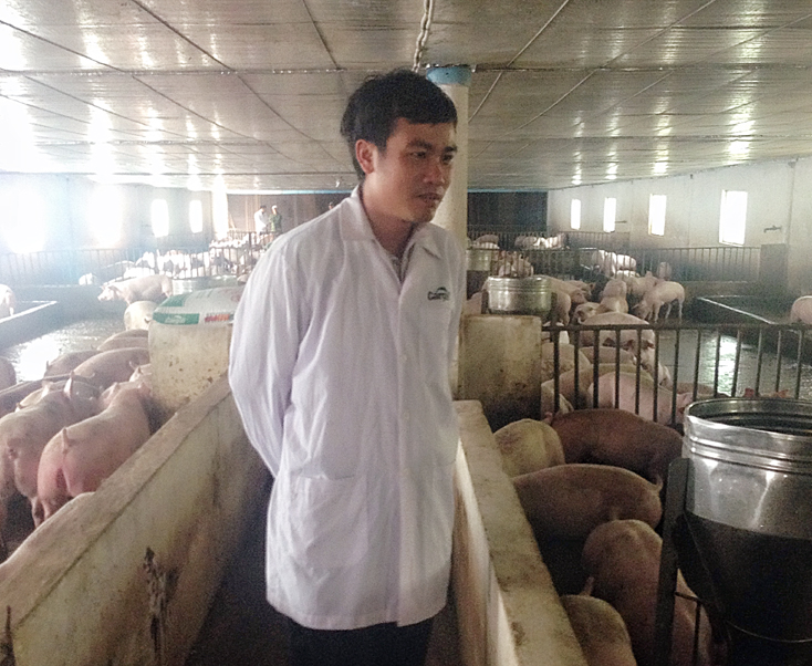 Công tác kiểm tra, kiểm soát, phòng ngừa dịch bệnh trên vật nuôi được các ngành chức năng ở Bố Trạch tăng cường.