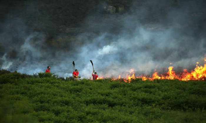 Lính cứu hỏa chiến đấu với ngọn lửa trên núi Saddleworth Moor, Anh - Ảnh: ALAMY LIVE NEW