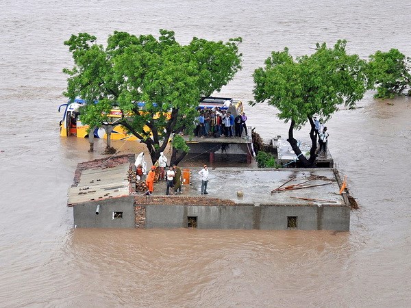 Lũ lụt tại bang Gujarat, Ấn Độ năm 2015. (Nguồn: Mongabay)
