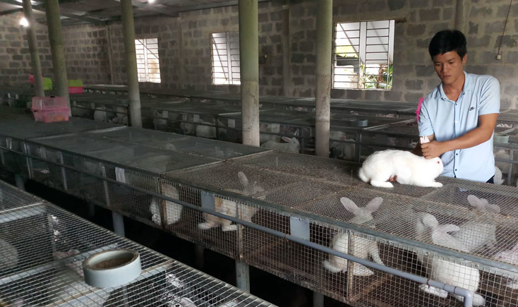 Trang trại nuôi thỏ của anh Dương Văn Tư thu lợi nhuận từ 10-15 triệu đồng/tháng, giải quyết việc làm tại chỗ cho 2 lao động địa phương.