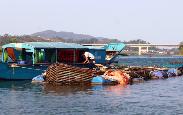 Cá chép lồng nuôi trên sông Son, một đặc sản du lịch của xã Sơn Trạch.