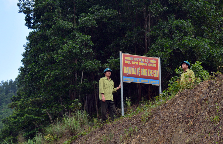 Trạm bảo vệ rừng Khe Cau (Ban quản lý rừng phòng hộ Động Châu) thực hiện tốt công tác bảo vệ rừng.