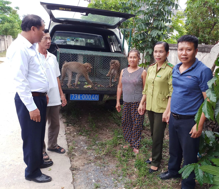 Bà Nguyễn Thị Chuyền giao nộp 2 cá thể khỉ cho Trung tâm Cứu hộ, Bảo tồn và Phát triển sinh vật.