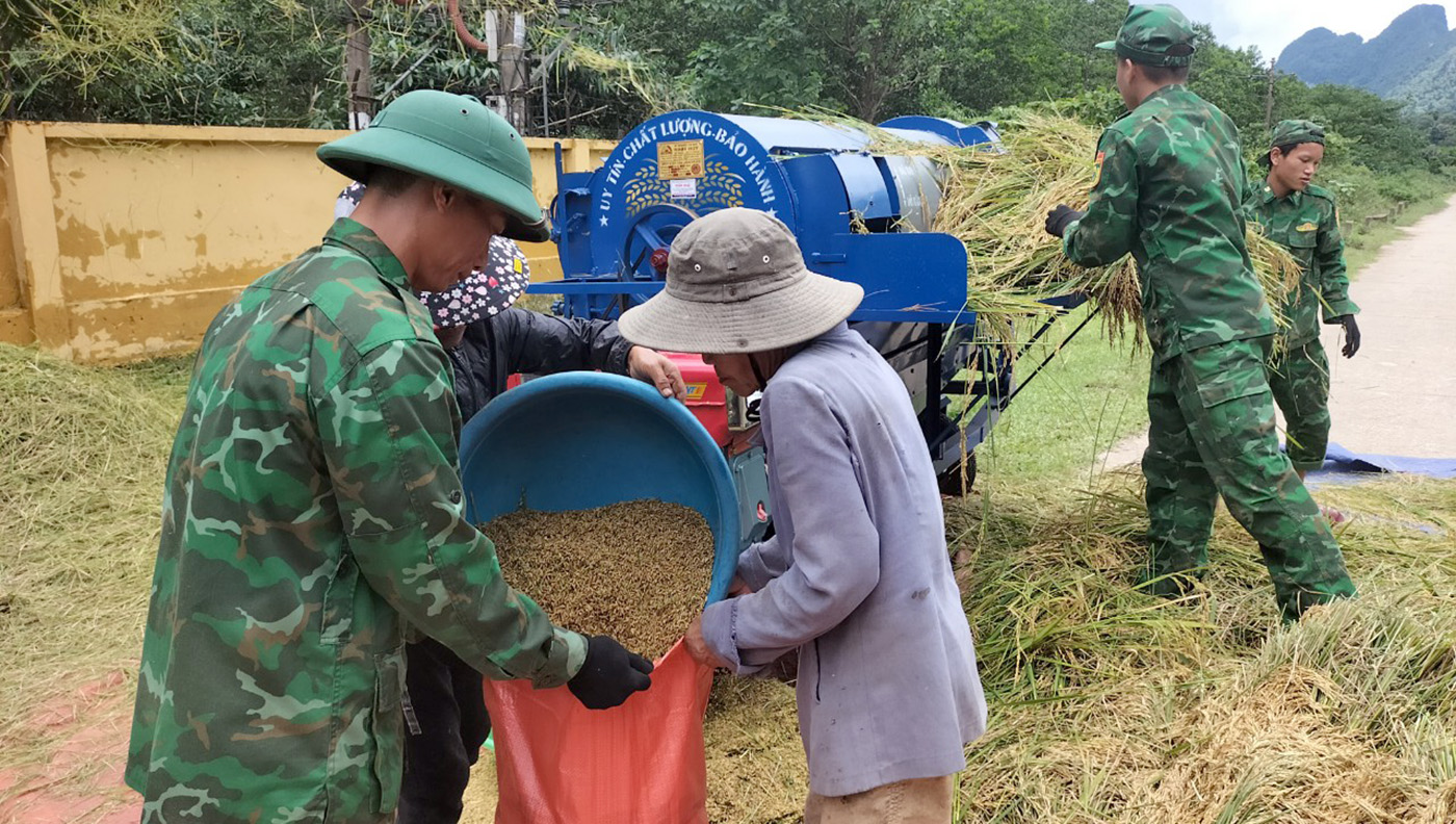 Đồn Biên phòng Cà Xèng giúp đồng bào thu hoạch lúa