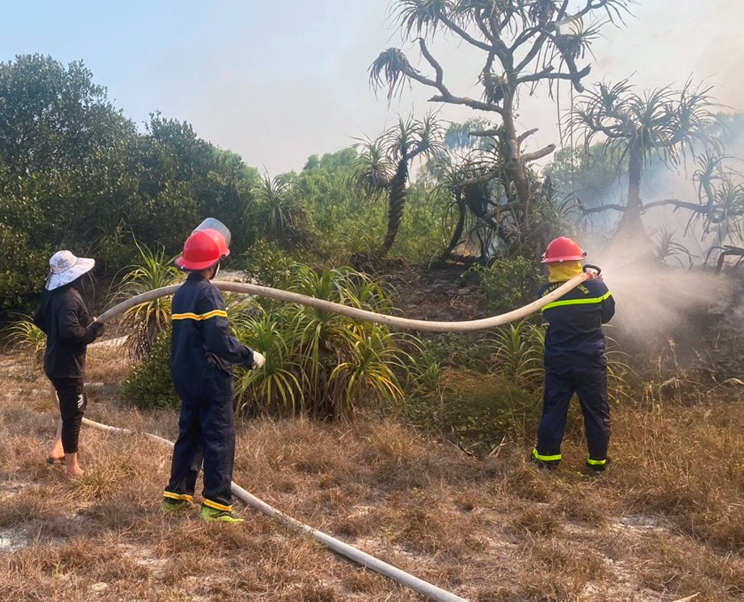 Quảng Ninh: Huy động lực lượng khoảng 500 người tham gia chữa cháy rừng