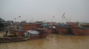Đội tàu đánh bắt xa bờ của ngư dân Cồn Sẻ (Quảng Lộc, Quảng Trạch). Ảnh: N.L