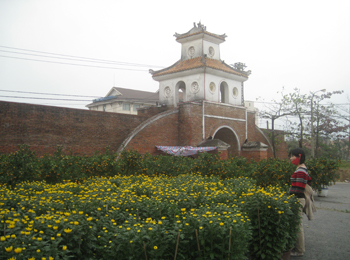 Hoa xuân ở TP Đồng Hới. Ảnh: Tr.T