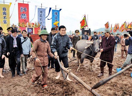 Chủ tịch nước Trương Tấn Sang xuống đồng cày ruộng trong Lễ hội xuống đồng tại xã Ðọi Sơn, huyện Duy Tiên (Hà Nam). Ảnh: KHẮC HƯỜNG  
