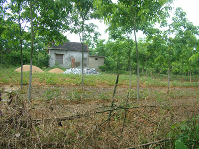 Hồ sơ bị thất lạc nên 1 trong số hơn 400 thửa đất của người dân Trường Thủy như thế này chưa được cấp GCNQSDĐ.