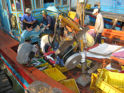 Ngư dân xã Thanh Trạch bội thu sau một chuyến đánh bắt thủy sản trở về.