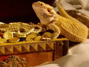 Ảnh minh họa. (Nguồn: Internet)