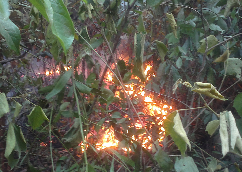 Vụ cháy bắt đầu bùng phát. Ảnh: Đ.T.