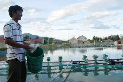 Lê Quang Minh với khu nuôi tôm thẻ của mình.
