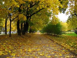 Ảnh minh họa. (Nguồn: Internet)