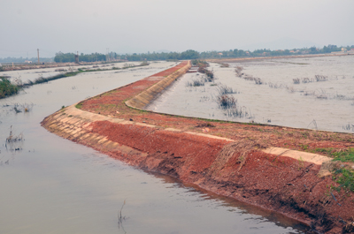 Công trình thuỷ lợi Thượng Mỹ Trung đang phát huy tác dụng.