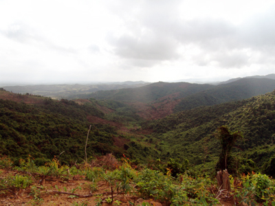 Nhiều diện tích đất được giao ở xã Trường Sơn (Quảng Ninh) sử dụng kém hiệu quả.