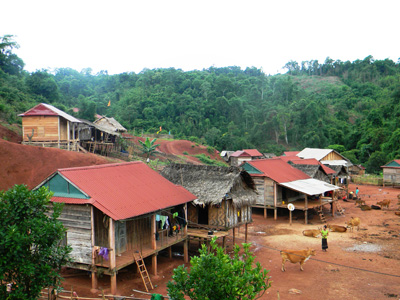 Nhờ sự quan tâm của Đảng và Nhà nước, đồng bào dân tộc thiểu số tỉnh ta được sống trong những ngôi nhà sàn kiên cố, khang trang.