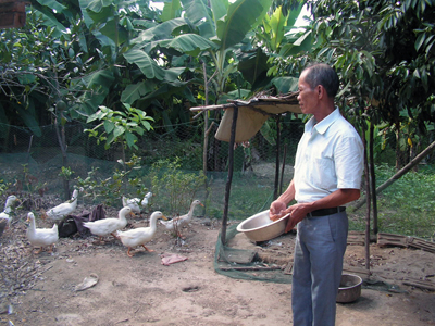 Ông Nguyễn Văn Vùng đang chăm sóc đàn gia cầm.