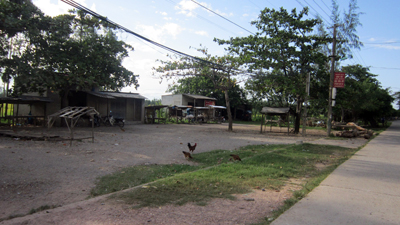 Chợ xép Quảng Xá cần được nâng cấp